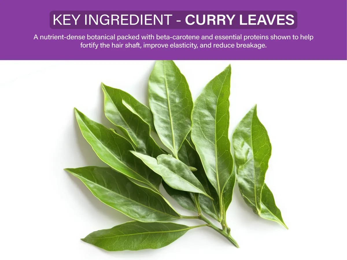 Key ingredient: Curry leaves